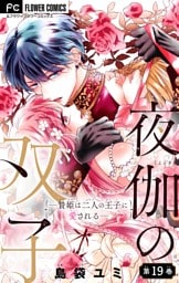 夜伽の双子―贄姫は二人の王子に愛される―【マイクロ】（１９）