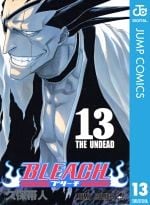 BLEACH モノクロ版 13