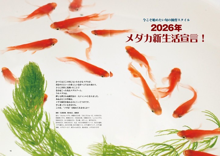 特集　メダカ新生活宣言！