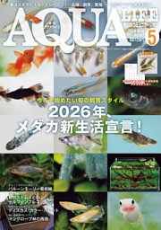 ひよこクラブの最新号 | dマガジンなら2,400誌以上の人気雑誌が読み放題！