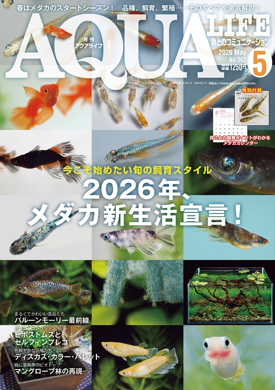 アクアライフ 5月号