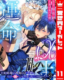 α王の運命～王妃候補の護衛のはずが王の番になりました～ 11