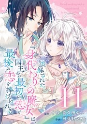 誤解された『身代わりの魔女』は、国王から最初の恋と最後の恋を捧げられる（コミック）【分冊版】 11