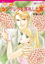 シンデレラを落札した夜【分冊】 3巻