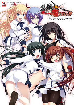 真剣で私に恋しなさい！ ビジュアルファンブック