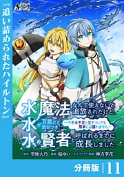 水魔法なんて使えないと追放されたけど、水が万能だと気がつき水の賢者と呼ばれるまでに成長しました～今更水不足と泣きついても簡単には譲れません～【分冊版】１１