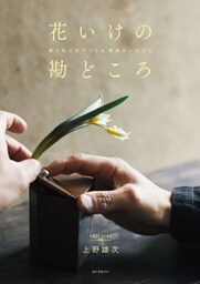 花いけの勘どころ器と色と光でつくる、季節のいけばな