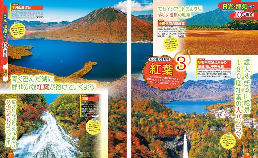 3 紅葉