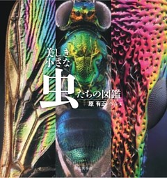 美しき小さな虫たちの図鑑