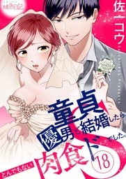 童貞優男と結婚したら、とんでもない肉食ドSでした。 18