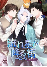 流れ星が降る街26