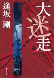 大迷走(御茶ノ水警察シリーズ)