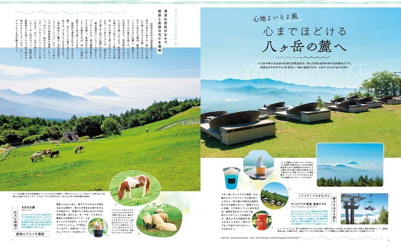 心地よいそよ風 心までほどける八ヶ岳の麓へ