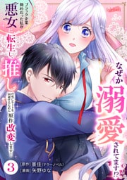 ブラック企業勤めだった私が悪女に転生し、推しの死亡ルートを回避するために原作改変します！ 第3巻