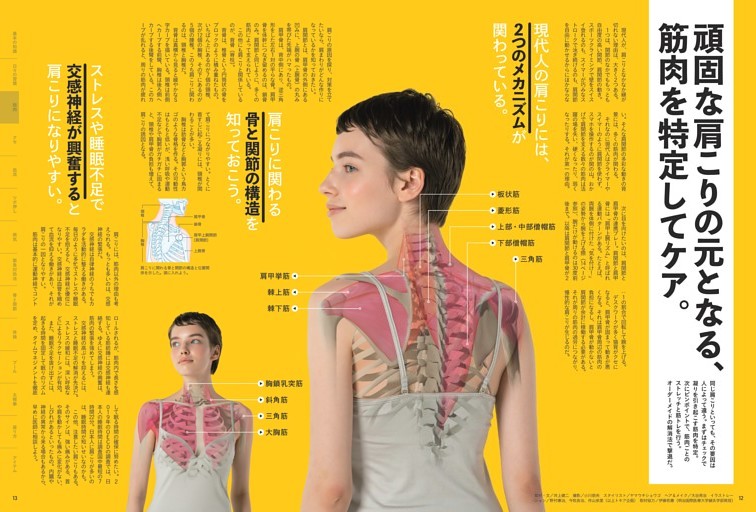 頑固な肩こりの元となる、筋肉を特定してケア。 (ムック・増刊