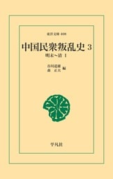 中国民衆叛乱史 3