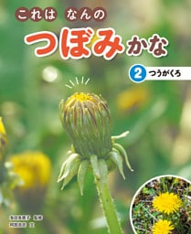 これはなんのつぼみかな　(2)つうがくろ