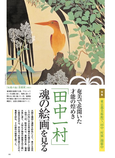 特集 「田中一村」魂の絵画を見る (サライ) | dマガジン
