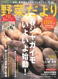 野菜だより 2026年1月号