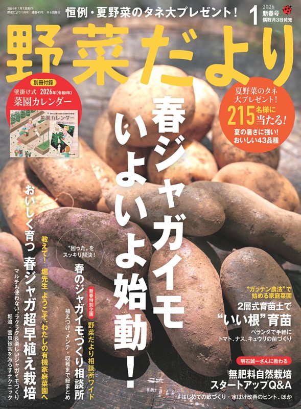 野菜だより 2026年1月号