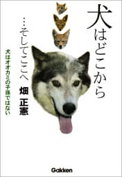 犬はどこから…そしてここへ 犬はオオカミの子孫ではない