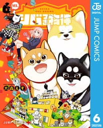 シバつき物件 6