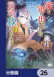 家を追い出されましたが、元気に暮らしています　～チートな魔法と前世知識で快適便利なセカンドライフ！～【分冊版】　26