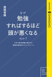 なぜ勉強すればするほど頭が悪くなるのか？　日本の教育問題を解決する画期的勉強法アクティブリコール