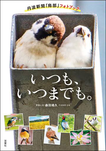 いつも、いつまでも。 丹波新聞「鳥部」フォトブック