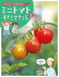 やさいをそだててじーっとかんさつ　ミニトマトをそだてたら