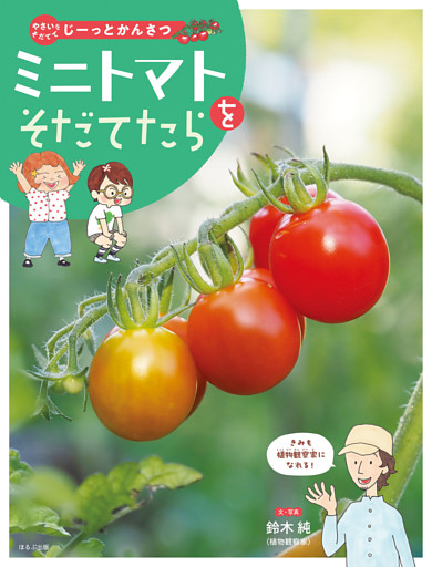 やさいをそだててじーっとかんさつ　ミニトマトをそだてたら