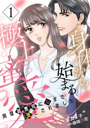 身体から始まる極上蜜愛~完璧御曹司に心まで堕とされました~【分冊版】1話