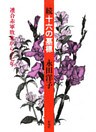 十六の墓標（続）
