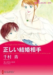 正しい結婚相手【分冊】 11巻