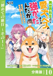 異世界転生したら愛犬ベスのほうが強かったんだが～職業街の人でも出来る宿屋経営と街の守り方～【分冊版】（ノヴァコミックス）１０
