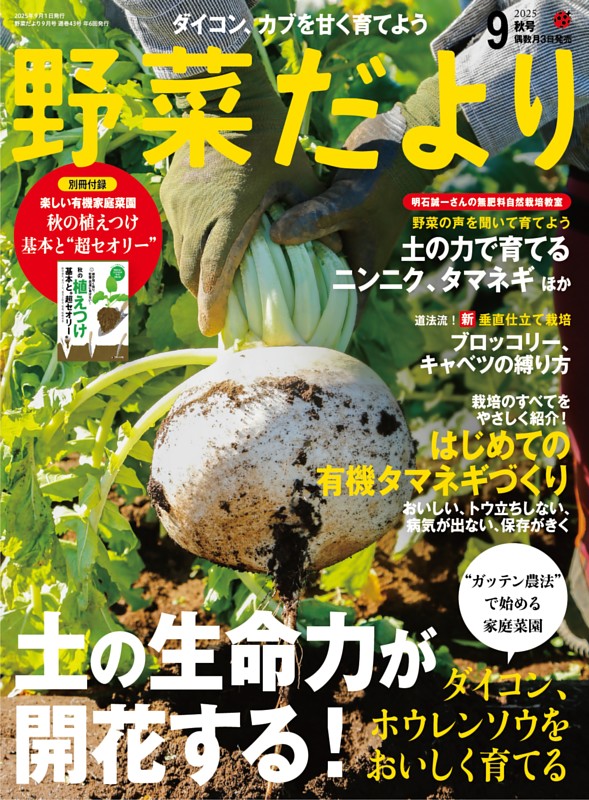 野菜だより 2025年9月号