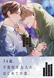 真面目な恋のほどき方【電子限定特典つき】