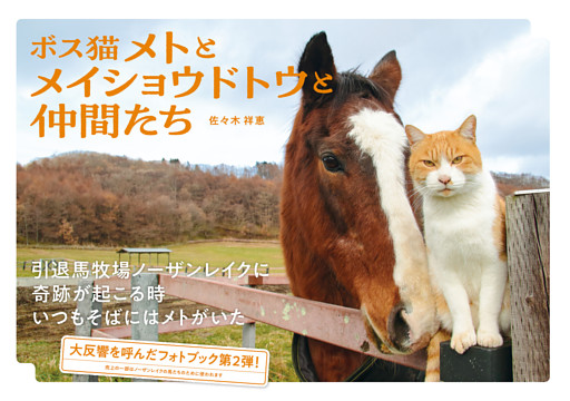 ボス猫メトとメイショウドトウと仲間たち