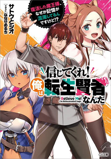 「信じてくれ！俺は転生賢者なんだ」シリーズ