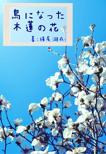 鳥になった木蓮の花