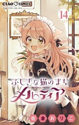 ふしぎな猫のまち メルティア【マイクロ】（１４）