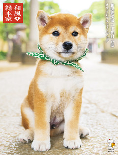 和風総本家二十代目豆助オフィシャルフォトブック