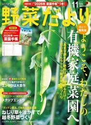 野菜だより (2025年11月号)