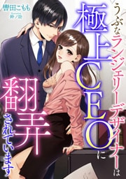 うぶなランジェリーデザイナーは極上CEOに翻弄されています【dブック特別版】