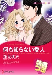 何も知らない愛人【特典付き】