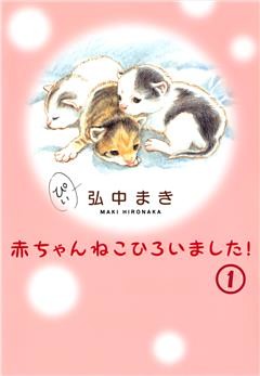 赤ちゃんねこひろいました！