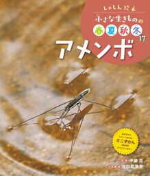 アメンボ１７　しゃしん絵本　小さな生きものの春夏秋冬