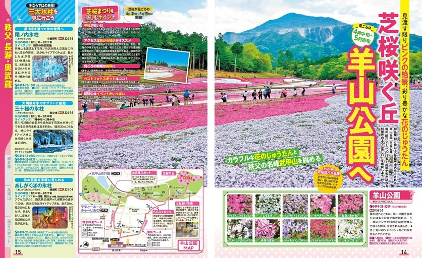 芝桜咲く丘羊山公園へ
