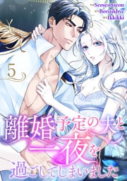 離婚予定の夫と一夜を過ごしてしまいました５