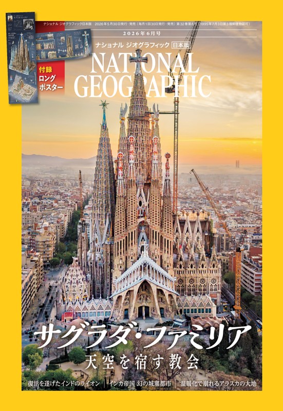 ナショナル ジオグラフィック日本版 2026年6月号
